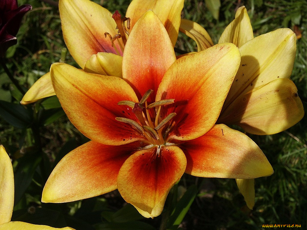 , , 
